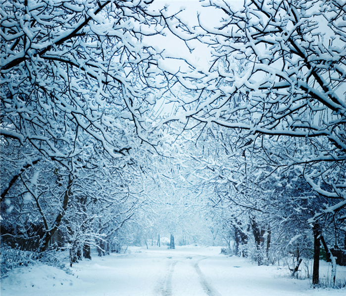 A road is covered by snow, as well as tree branches.