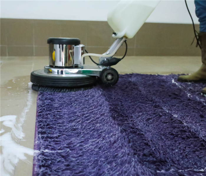 Professional carpet cleaning.