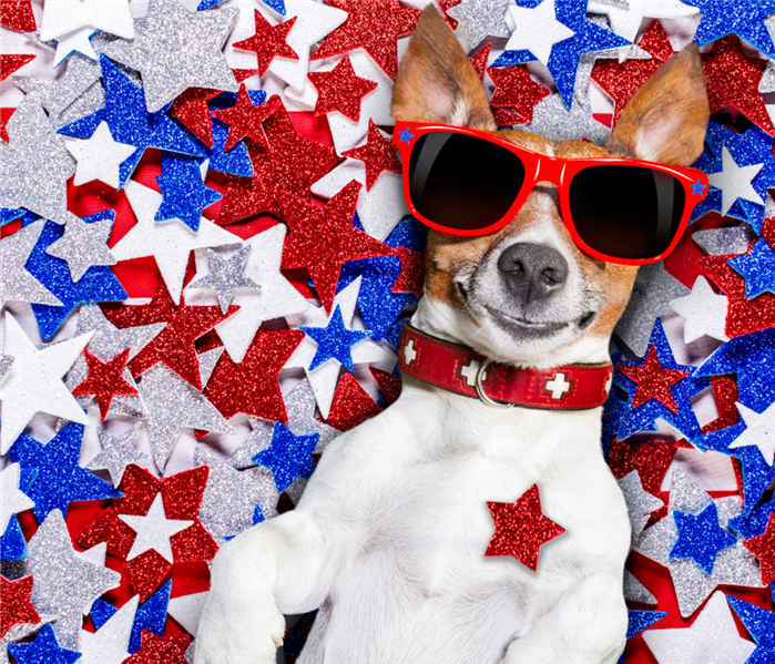 A dog with red glasses lays on red, white, and blue stars.
