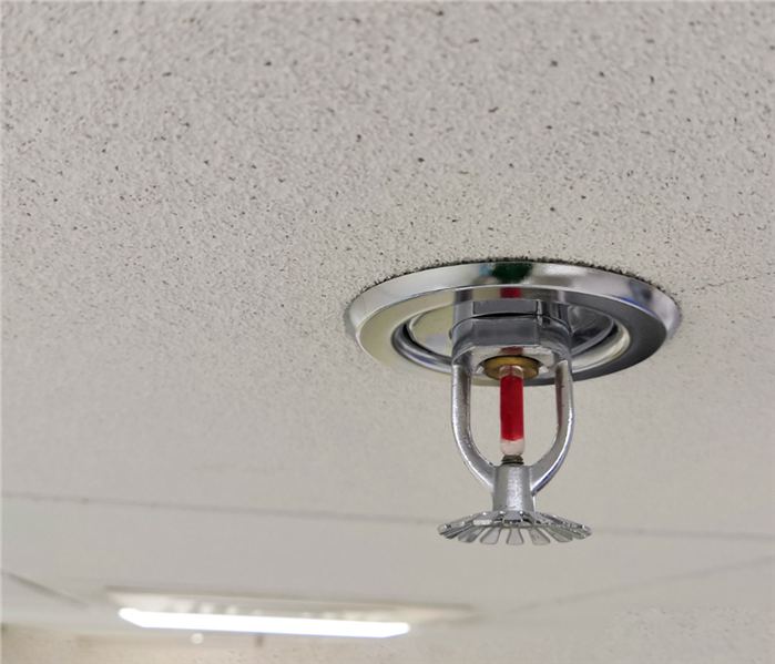 A fire sprinkler on the ceiling.