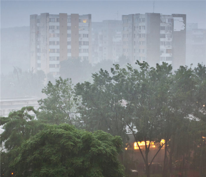 heavy rains on trees and buildings