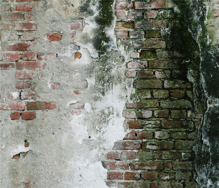 A brick wall is covered by mold